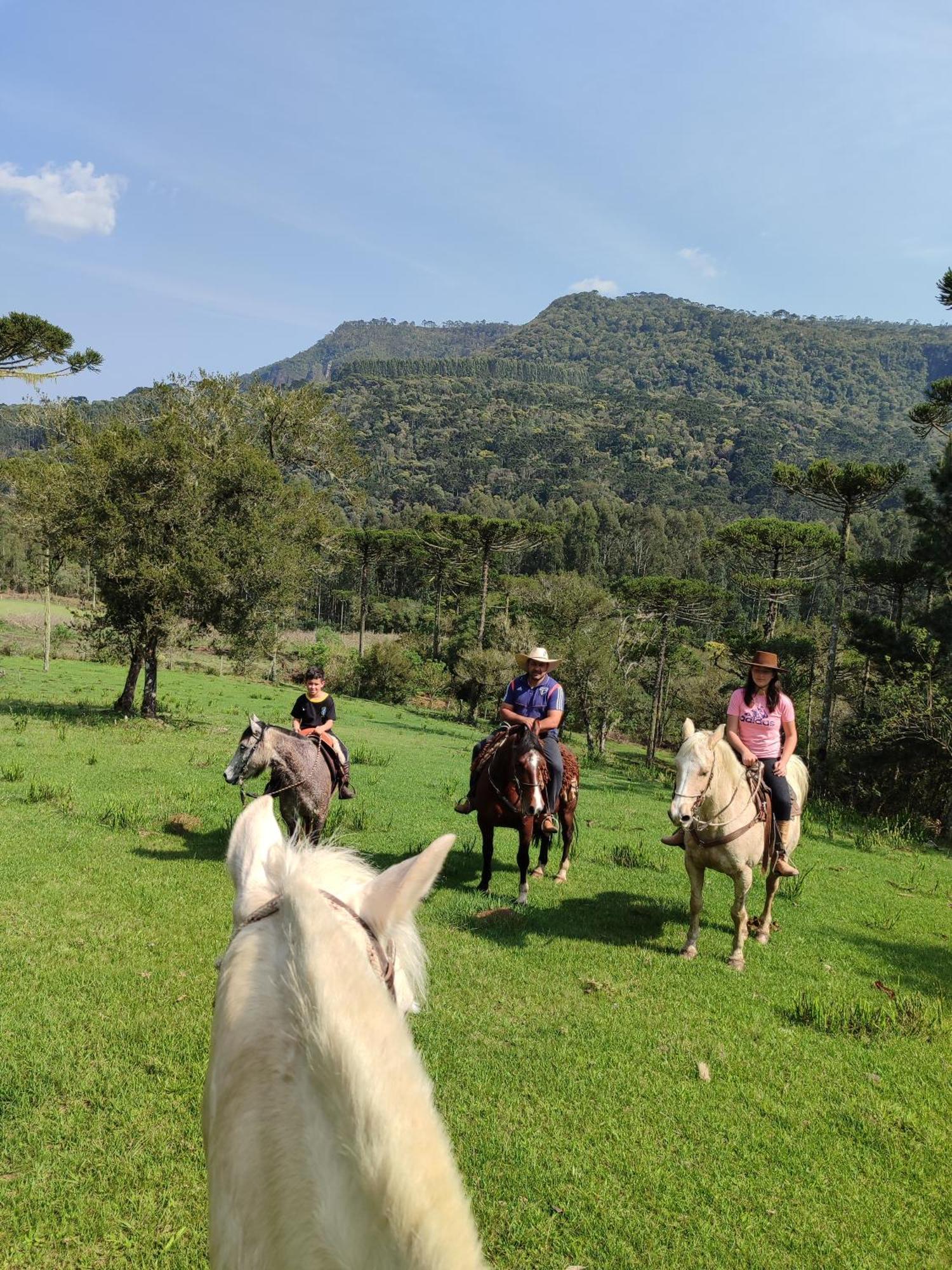 Pousada Vale da Imbuia chalé para temporada Urubici Extérieur photo