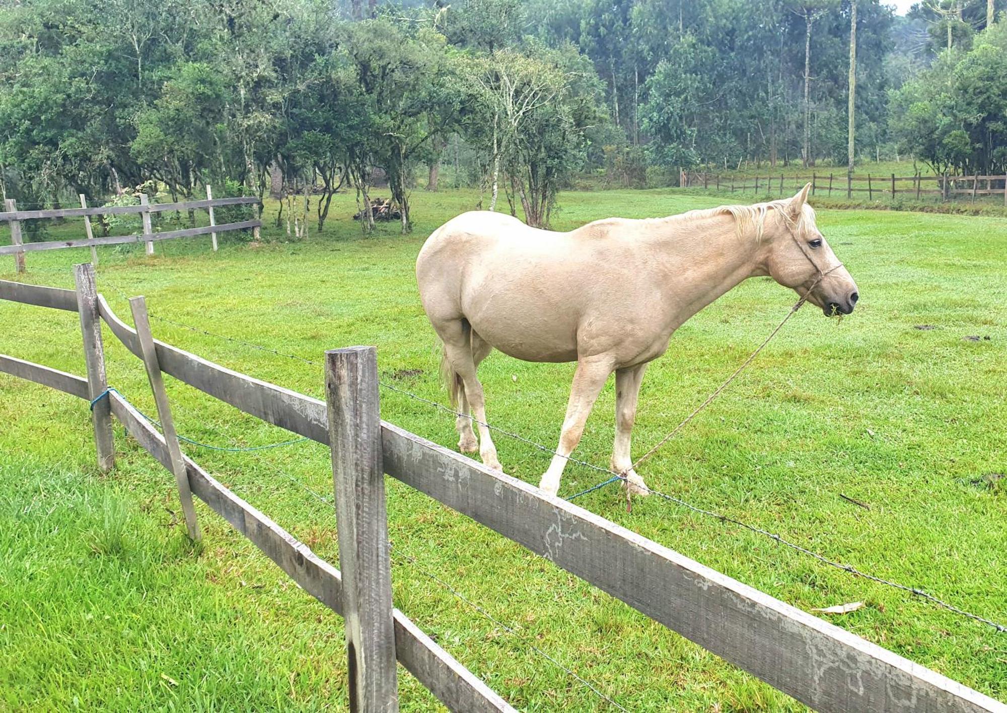 Pousada Vale da Imbuia chalé para temporada Urubici Extérieur photo